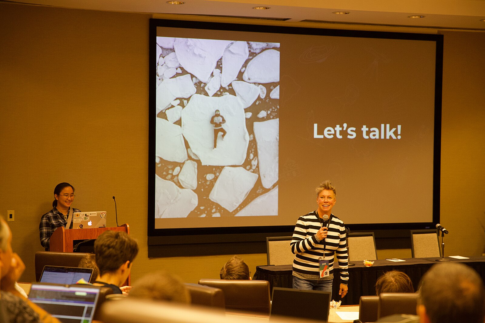 We're Relaunching the R-Ladies Abstract Review System!